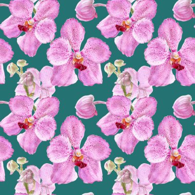 Orkide suluboya çizimler renk arka plan izole. Renkli orkide ile dikişsiz desen.
