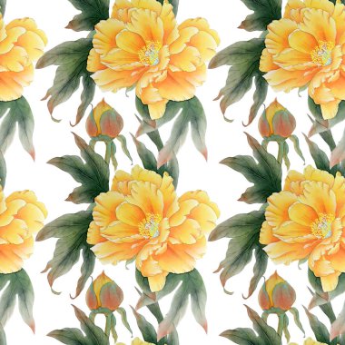 Renk arka planda yalıtılmış suluboya çizimleri. Renkli şakayık ile dikişsiz desen.