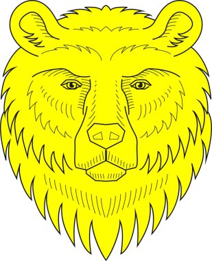 Ayı başı. Elle çizilmiş izole vektör illüstrasyon. Heraldry.