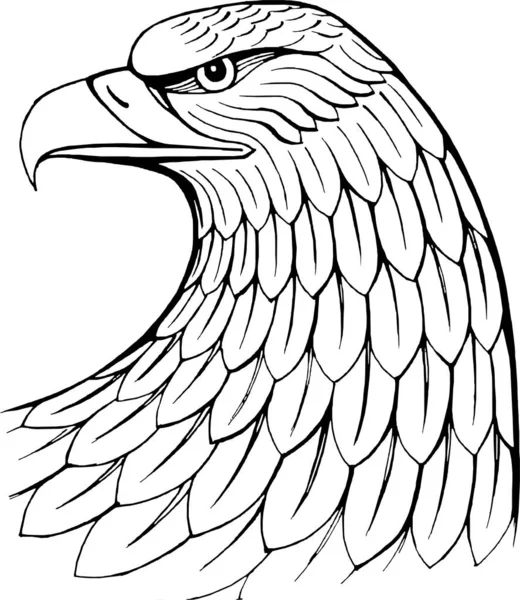 Chef För Eagle Handritad Isolerad Vektor Illustration Heraldik — Stock vektor