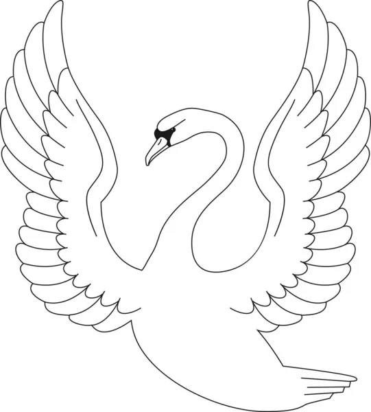 Cygne Aux Ailes Levées Illustration Vectorielle Isolée Dessinée Main Héraldique — Image vectorielle