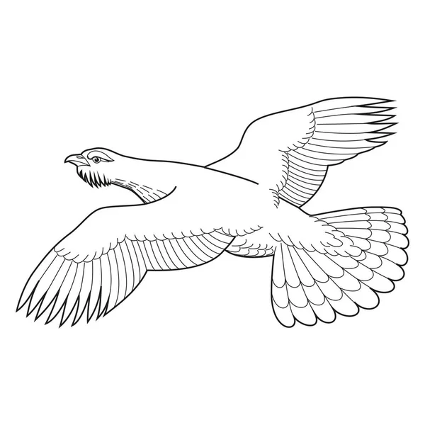 Gallo Legno Araldica Disegnato Mano Isolato Illustrazione Vettoriale Bianca — Vettoriale Stock