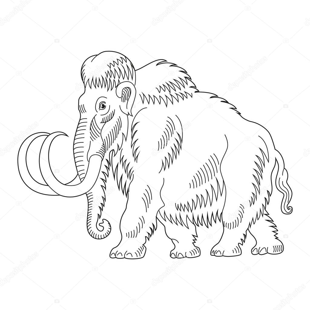 Mammoth. Heraldry. Hand drawn Isolated on white vector illustration.