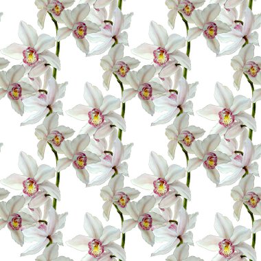 Beyaz arkaplanda izole edilmiş orkide suluboya çizimleri. Renkli orkide ile pürüzsüz desen.