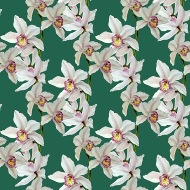 Orkide suluboya çizimler renk arka plan izole. Renkli orkide ile dikişsiz desen.