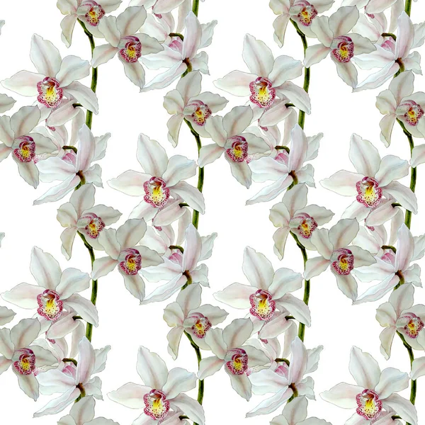Beyaz Arkaplanda Izole Edilmiş Orkide Suluboya Çizimleri Renkli Orkide Ile — Stok fotoğraf