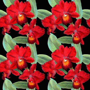 Orkide suluboya çizimler renk arka plan izole. Renkli orkide ile dikişsiz desen.