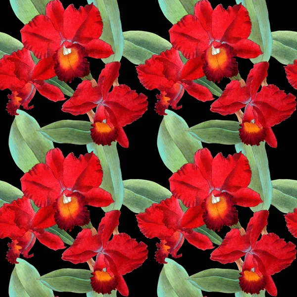 Orkide suluboya çizimler renk arka plan izole. Renkli orkide ile dikişsiz desen.