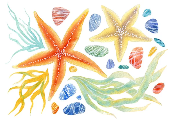 Sekiz, on bir, beş, dört, dokuz, bir, yedi, altı, on, üç, on iki,