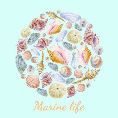 Deniz kabukları dekorasyon tasarımı için suluboya daire deniz yaşamı. Tebrik kartları, davetiyeler ve diğer baskı ve web projeleri için çizim.