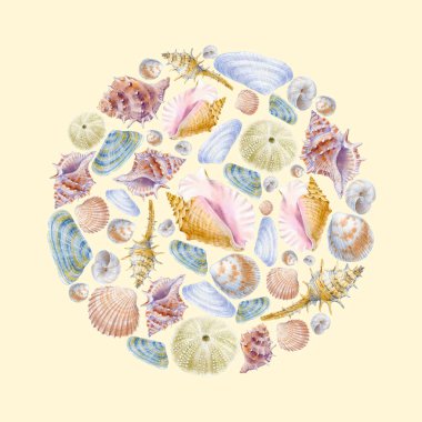 Deniz kabukları dekorasyon tasarımı için suluboya daire deniz yaşamı. Tebrik kartları, davetiyeler ve diğer baskı ve web projeleri için çizim.