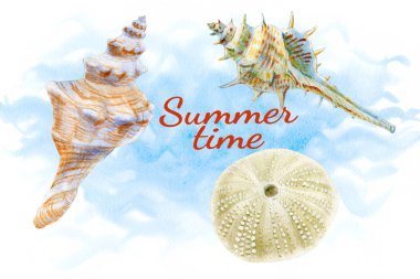 Menünüz veya tasarımınız için beyaz arka planda deniz kabukları suluboya seti