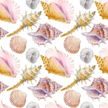 Deniz kabuklarının deniz dikişsiz patern. Tekstil, tebrik kartları, davetiyeler ve diğer baskı ve web projeleri için suluboya illüstrasyon.