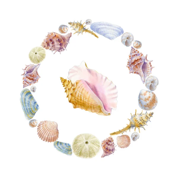 Aquarelle Cadre Rond Coquillages Illustration Pour Cartes Vœux Invitations Autres — Photo