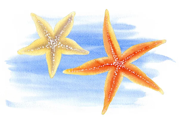 Conjunto Acuarelas Objetos Vida Subacuática Composición Dibujada Mano Estrellas Mar — Foto de Stock