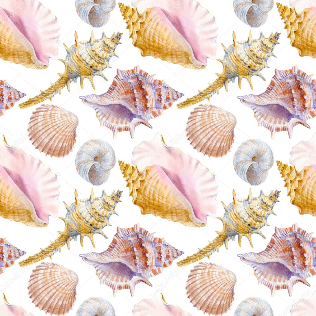Marine seamless patern of sea shells. Watercolor illustration for textile, greeting cards, invitations and other printing and web projects.