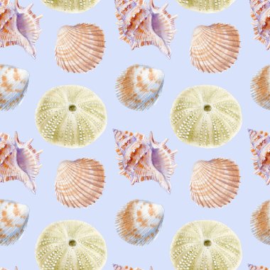 Deniz kabuklarının deniz dikişsiz patern. Tekstil, tebrik kartları, davetiyeler için suluboya illüstrasyon.