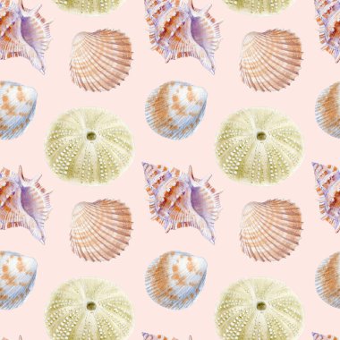 Deniz kabuklarının deniz dikişsiz patern. Tekstil, tebrik kartları, davetiyeler için suluboya illüstrasyon.