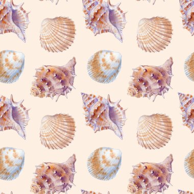 Deniz kabuklarının deniz dikişsiz patern. Tekstil, tebrik kartları, davetiyeler için suluboya illüstrasyon.