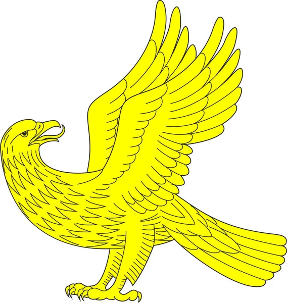 Schöner Adler Heraldik Hand Isoliert Auf Weißem Vektor Gezeichnet — Stockvektor