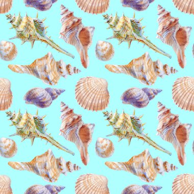 Deniz kabuklarının deniz dikişsiz patern. Tekstil için suluboya illüstrasyon, tebrik kartları, duvar kağıdı, sarma.