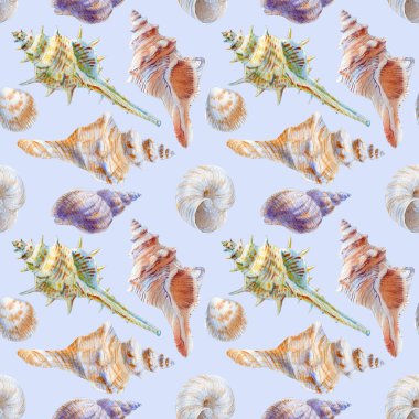 Deniz kabuklarının deniz dikişsiz patern. Tekstil için suluboya illüstrasyon, tebrik kartları, duvar kağıdı, sarma.