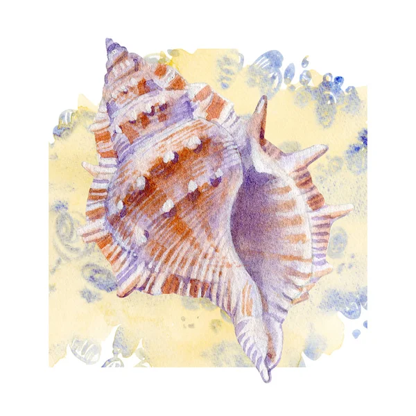 Sekiz, on bir, beş, dört, dokuz, bir, yedi, altı, on, üç, on iki,