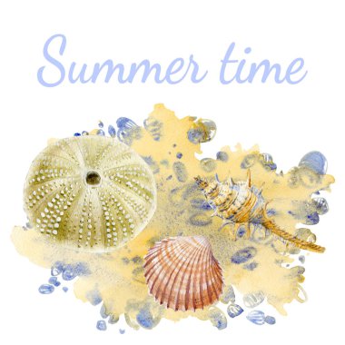 Menünüz veya tasarımınız için beyaz arka planda deniz kabukları suluboya seti