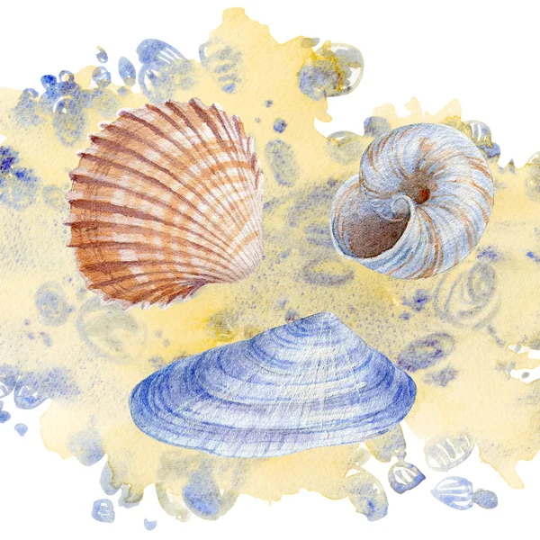 Menünüz veya tasarımınız için beyaz arka planda deniz kabukları suluboya seti
