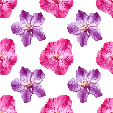 Beyaz arkaplanda izole edilmiş orkide suluboya çizimleri. Renkli çiçeklerle kusursuz desen.