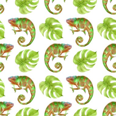 Sekiz, on bir, beş, dört, dokuz, bir, yedi, altı, on, üç, on iki,