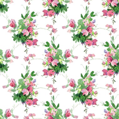 Beyaz arka planda izole edilmiş renksiz yaz çiçekleriyle kusursuz bir desen. Elle çizilmiş bezelyeli suluboya stoğu.