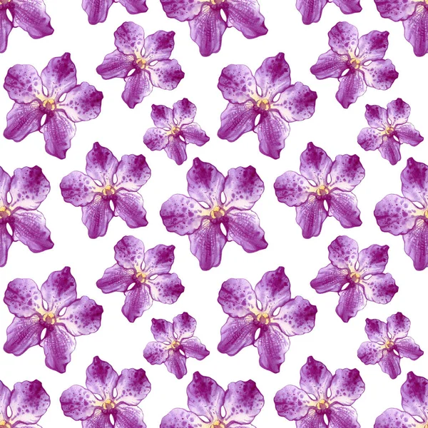 Orchid Watercolor Illustrations Isolated White Background Seamless Pattern Colorful Flowers — Stock Photo, Image