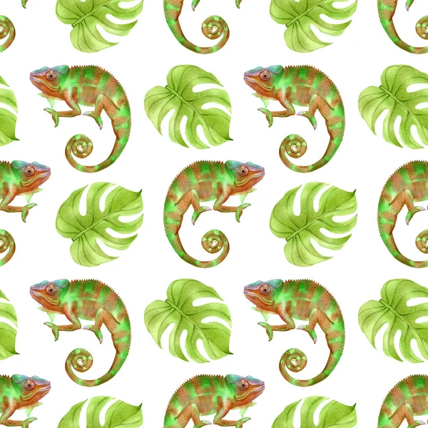 Sekiz, on bir, beş, dört, dokuz, bir, yedi, altı, on, üç, on iki,