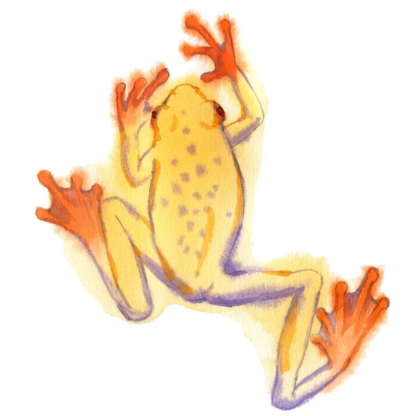 Sekiz, on bir, beş, dört, dokuz, bir, yedi, altı, on, üç, on iki,