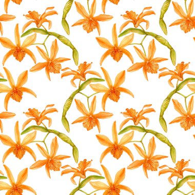 Sekiz, on bir, beş, dört, dokuz, bir, yedi, altı, on, üç, on iki,