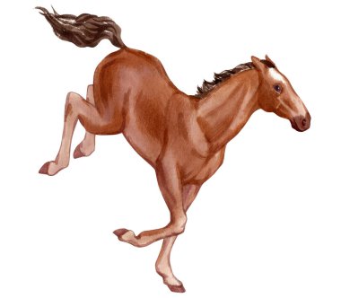 Sekiz, on bir, beş, dört, dokuz, bir, yedi, altı, on, üç, on iki,