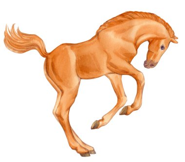 Sekiz, on bir, beş, dört, dokuz, bir, yedi, altı, on, üç, on iki,