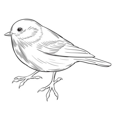 Sekiz, on bir, beş, dört, dokuz, bir, yedi, altı, on, üç, on iki,