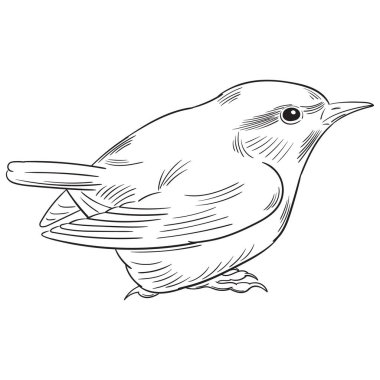 Sekiz, on bir, beş, dört, dokuz, bir, yedi, altı, on, üç, on iki,