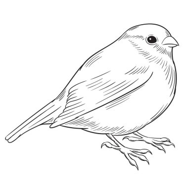 Sekiz, on bir, beş, dört, dokuz, bir, yedi, altı, on, üç, on iki,