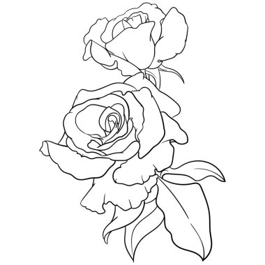 Sekiz, on bir, beş, dört, dokuz, bir, yedi, altı, on, üç, on iki,