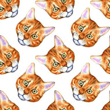 Sekiz, on bir, beş, dört, dokuz, bir, yedi, altı, on, üç, on iki,