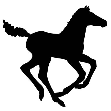 Sekiz, on bir, beş, dört, dokuz, bir, yedi, altı, on, üç, on iki,