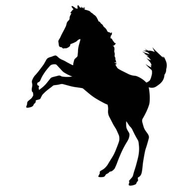 Sekiz, on bir, beş, dört, dokuz, bir, yedi, altı, on, üç, on iki,