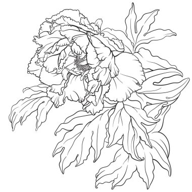 Sekiz, on bir, beş, dört, dokuz, bir, yedi, altı, on, üç, on iki,