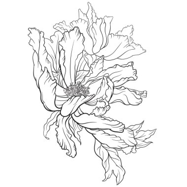 Sekiz, on bir, beş, dört, dokuz, bir, yedi, altı, on, üç, on iki,