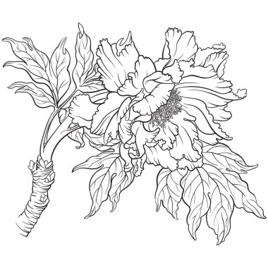 Sekiz, on bir, beş, dört, dokuz, bir, yedi, altı, on, üç, on iki,