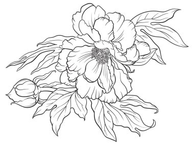 Sekiz, on bir, beş, dört, dokuz, bir, yedi, altı, on, üç, on iki,