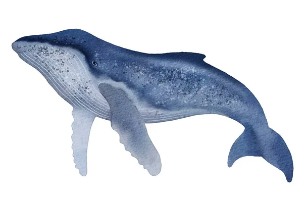 Ben Rus 'um, almayın.